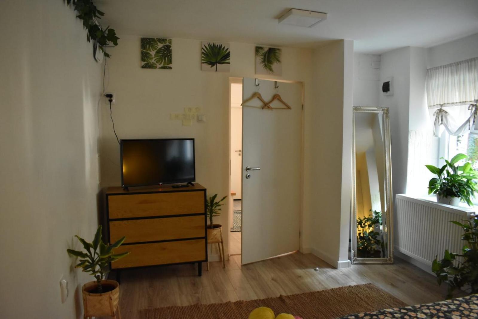 Anna'S Guesthouse 클루지나포카 외부 사진